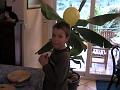 2005-10 8ans corentin 011